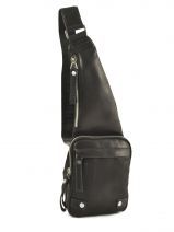 Holster Arthur et aston Zwart robert 1121-14