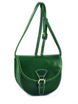 Sac Bandouli�re Petits prix cuir Vert collet 1201
