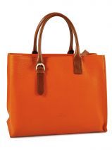 Draagtas Etrier Oranje cabas G801NAT