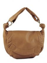 Sac � Main Lupo Marron globe 1100096