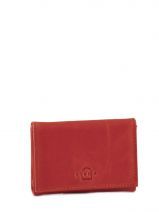 Kredietkaarthou Etrier Rood garden EGA904