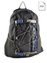 Sac A Dos Dakine Gris street packs 8130-060: Wonder
