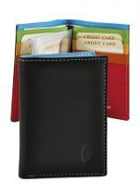 Kaarthouder Francinel Zwart casual multi 057924