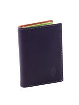 Porte Cartes Francinel Violet casual multi 057924 Porte Cartes Francinel Violet casual multi 057924
