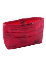 Organiseur De Sac (bag In Bag) Coaban twill 114