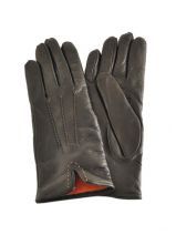 Handschoenen Omega Violet cachemire 317BR
Dameshandschoen