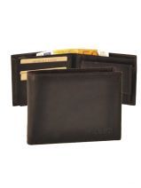 Portefeuille Arthur et aston Bruin grace 94450