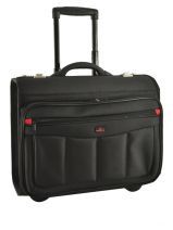 Pilot Case Davidt's Noir monte carlo 261113